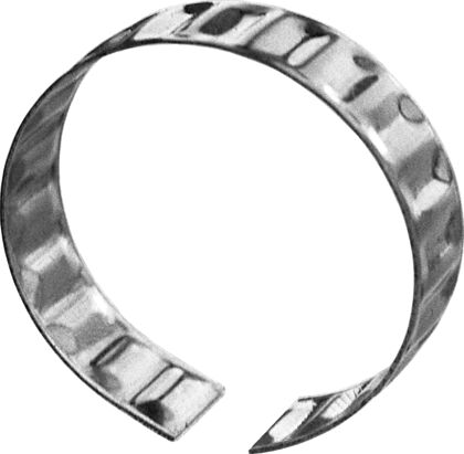Tolerance ring (AN), size = 100 X 15, carbon steel