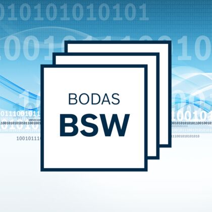 BODAS Tools BODAS-BSW (RC/40) - артикул: none