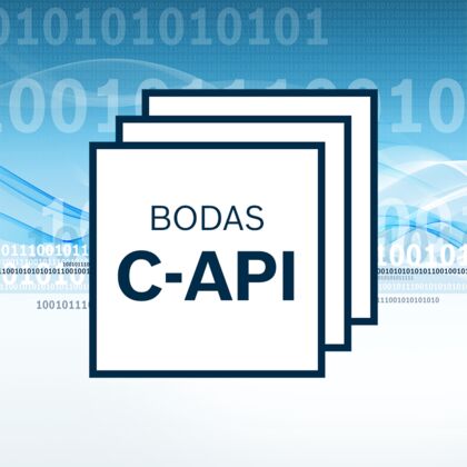 BODAS Tools C-API (RC/3x) - артикул: none