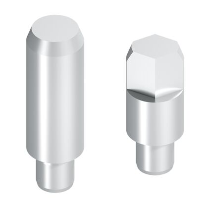 Components of positioning unit PE 2/XP Positioning pin, flat-sided, l39